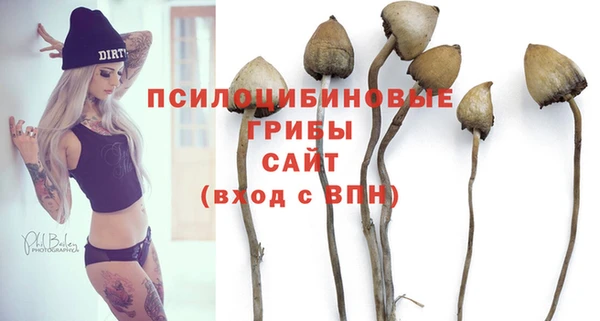 скорость Костерёво