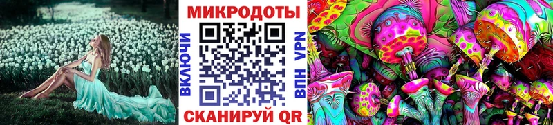 где можно купить наркотик  Стерлитамак  Галлюциногенные грибы прущие грибы 