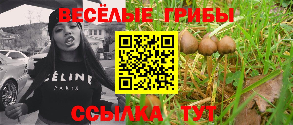 Псилоцибиновые грибы Psilocybe  Стерлитамак 